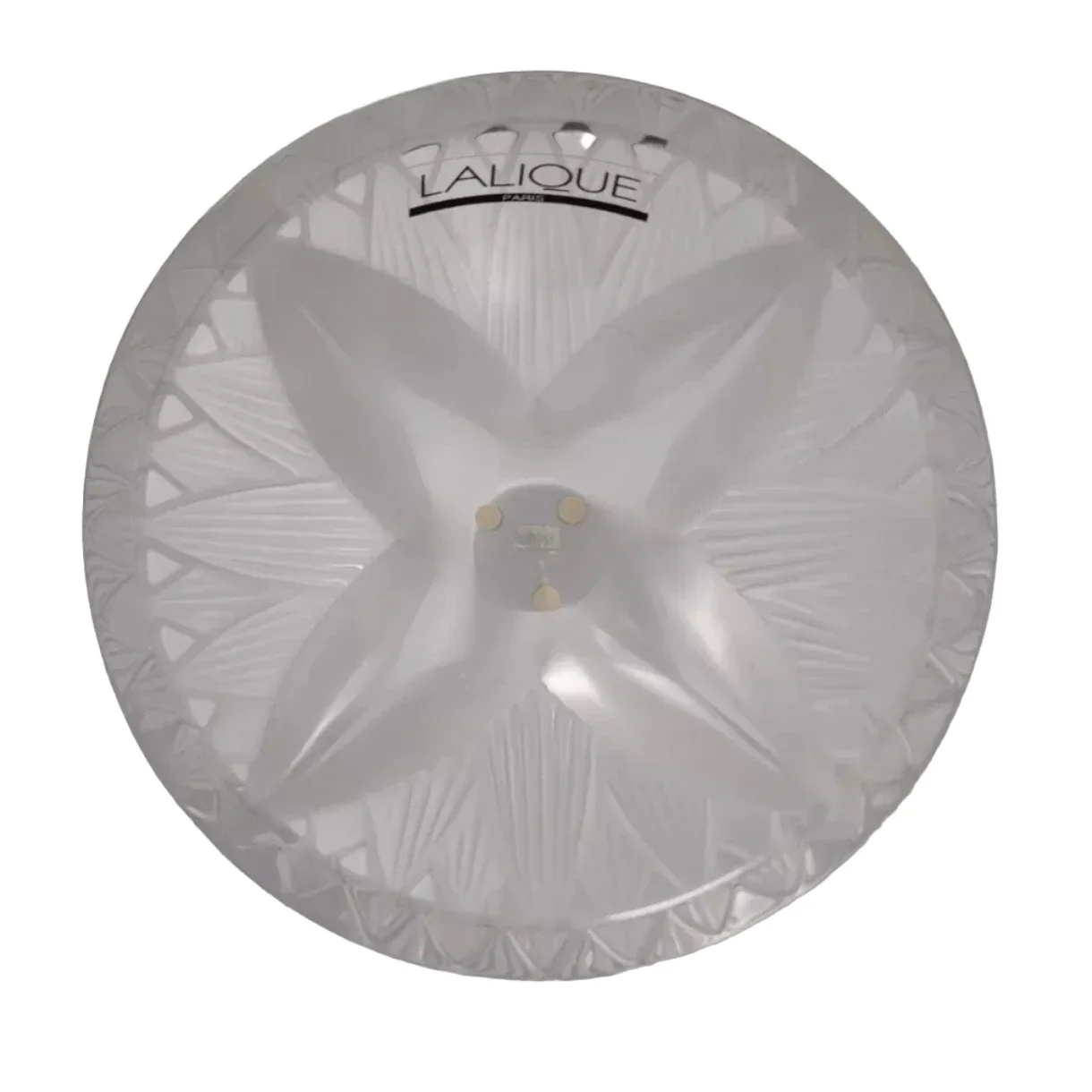 Brand New Lalique Crystal Thebes Vase V02