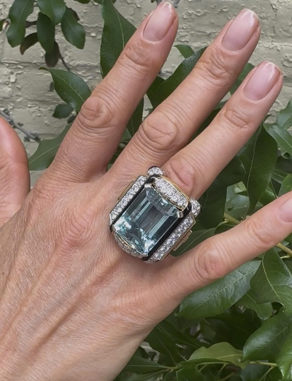 David Webb 25.50ct Aquamarine Diamond Enamel Gold Platinum Ring